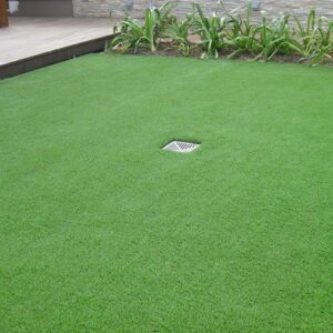 Synthetic Grass Carpet Oasis 30 mm