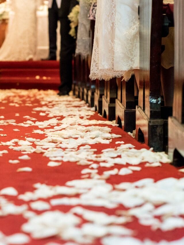 Red Carpet Runner