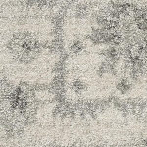 Winter White Transitional Rug