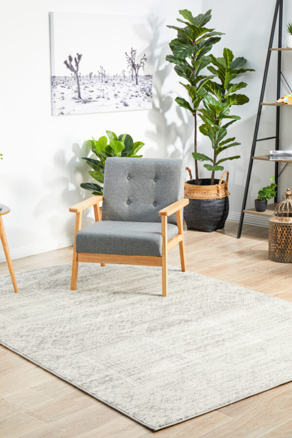 Faded Silver Grey Rug sitting area