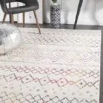 Floor Area Rug