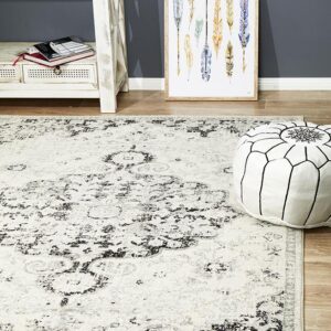 Museum Design Shaded Rug