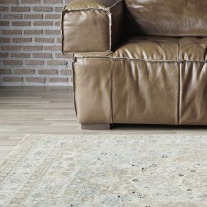 Elegant Traditional Beige Living Room Rug