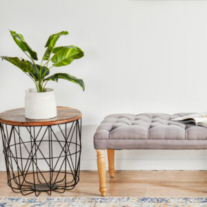 Pattern Rug Room View