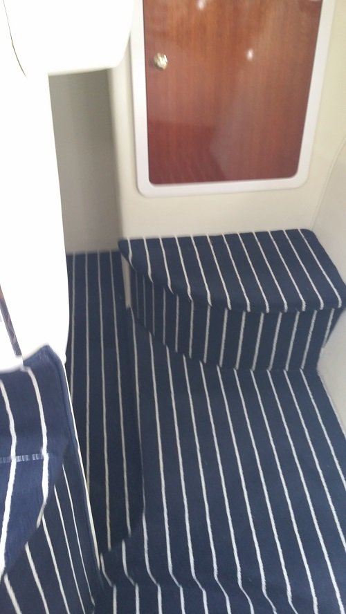 Marine Carpet Navy Cream