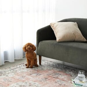 Shaded Coco Peach Rug