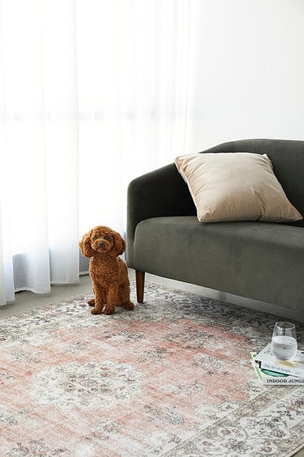 Shaded Coco Peach Rug
