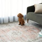 Shaded Coco Peach Rug