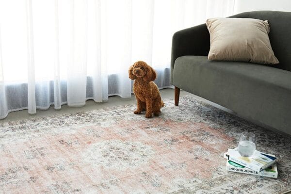 Shaded Coco Peach Rug Shaded Coco Peach Rug