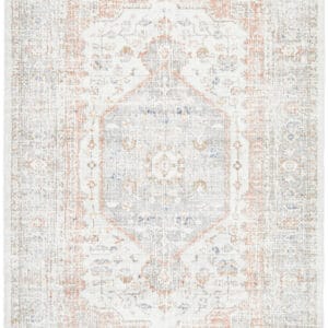 Stonewashed Silver Design Rug - Image 14