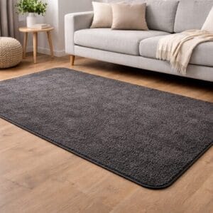 dark-grey-indoor-carpet-mat-in-modern-living-room.jpg