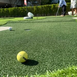 Putt Putt With Green Marine Carpet