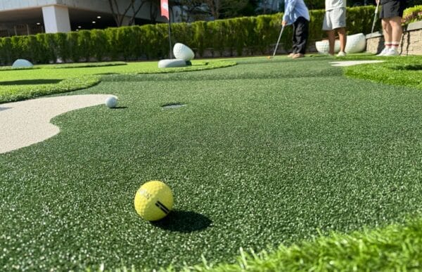 Putt Putt With Green Marine Carpet
